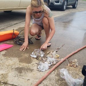 Meet your Posher, Angela